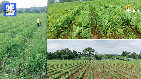 Zero Tillage Farming