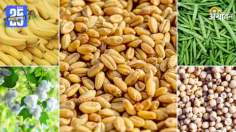 Agriculture Market Products