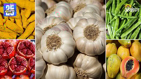 Agriculture Market Products