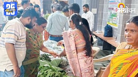 Wild Vegetable Festival 