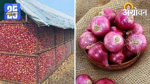 Onion Storage
