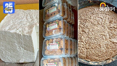 dairy Processing Industry 