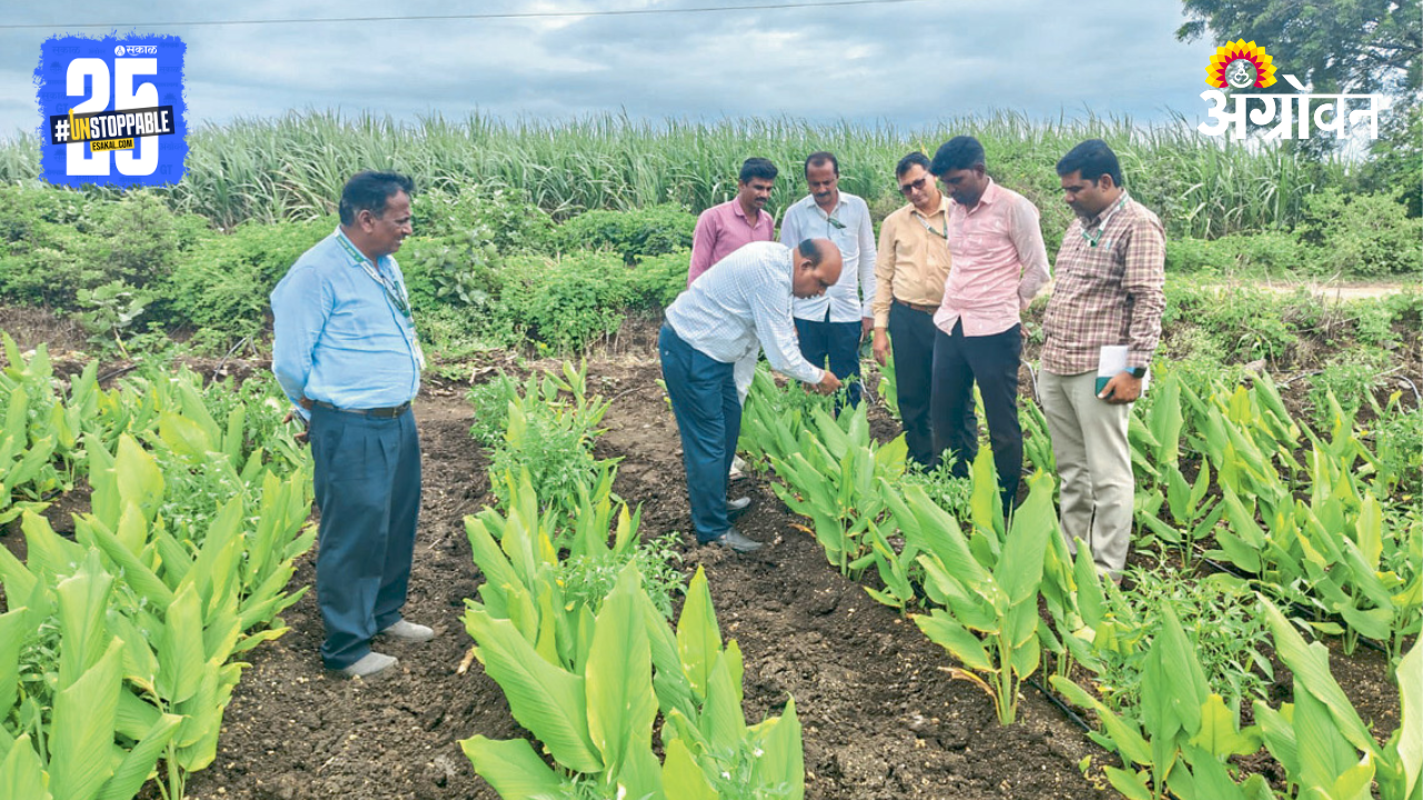 Krishi Vigyan Kendra