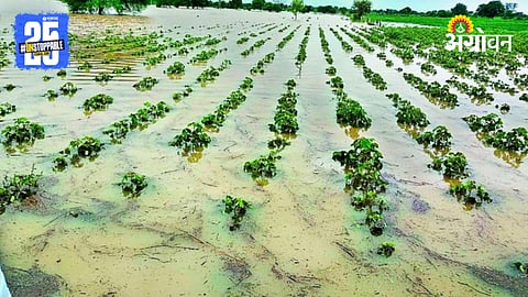 Marathwada Heavy Rainfall