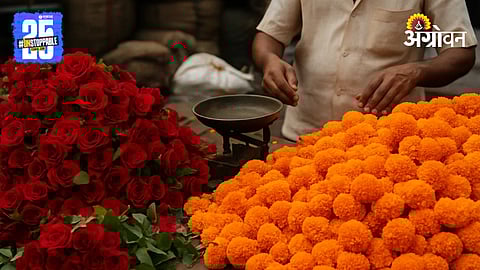 Flower Market