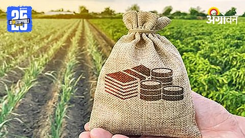 Crop Insurance