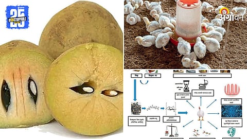 Agriculture Research