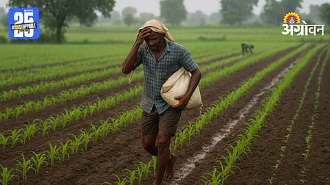 Ahilyanagar Kharif Sowing