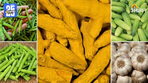 Market Products