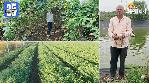 Organic Farming 