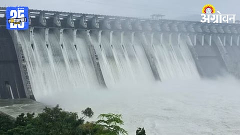 Dam Water Storage: देशातील धरणांमध्ये ८६ टक्के पाणीसाठा; सप्टेंबरमध्येही चांगल्या पावसाचा अंदाज