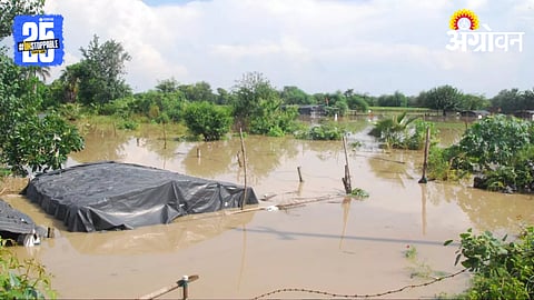 Rajasthan Flood Crisis