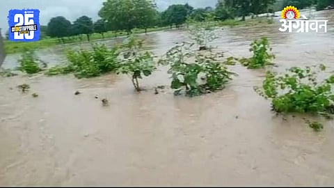 Marathwada Flood: मराठवाड्यात अतिवृष्टीमुळे शेतकऱ्यांचे प्रचंड नुकसान; पंचनाम्यांना विलंब