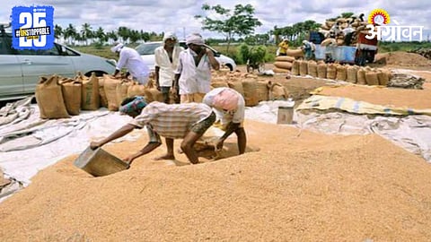 Paddy Market