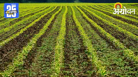 Zero Tillage