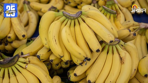 Banana Market