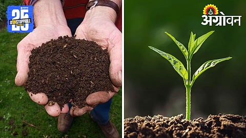 Benefits of Biofertilizers
