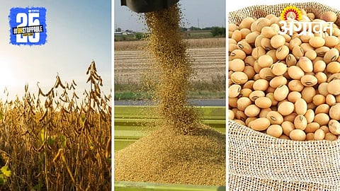 Soybean Seed Care
