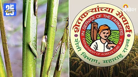 Agriculture Department