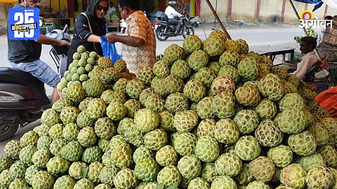 Custard Apple