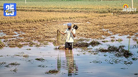 Agricultural Crisis