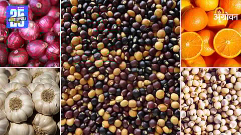 Agriculture Products