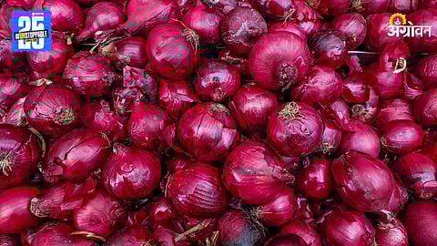 Onion Market