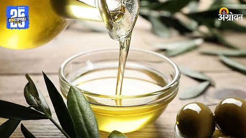 Olive Oil
