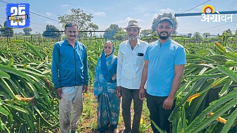 Dragon Fruit Farming