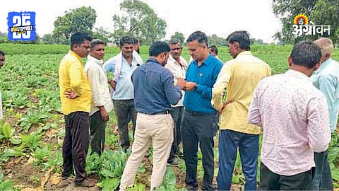 Agriculture Scientists