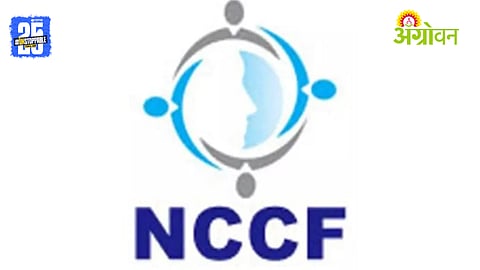 NCCF