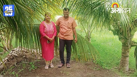 Coconut Farming
