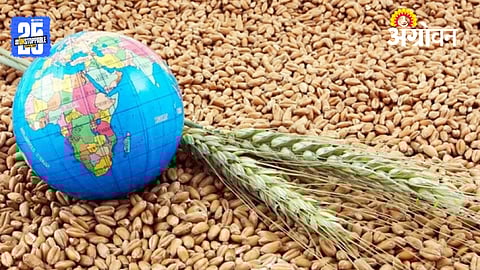 Global Grain Production