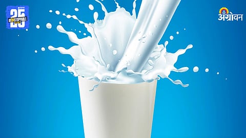 milk price