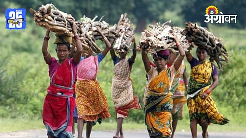 Tribal Women Empowerment