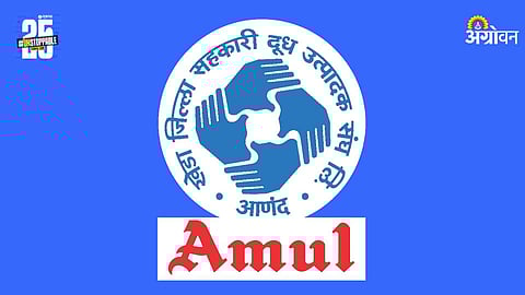 Amul Dairy Election