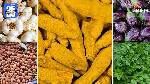 Agriculture Products