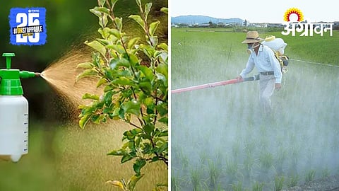 Chemical Fertilizers