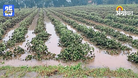 AhilyanagarHeavy Rainfall
