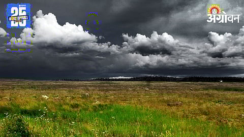 Monsoon Maharashtra 