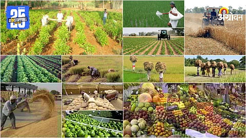 Agriculture Market