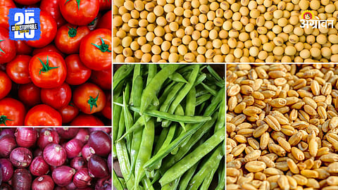 Agriculture Products