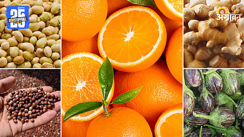 Agriculture Products