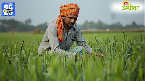 Urea shortage