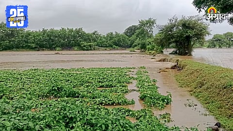 Marathwada Heavy Rain