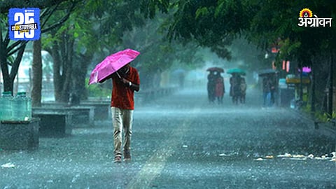 Monsoon Rain