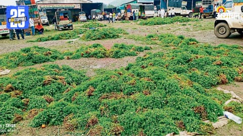 Narayangaon APMC