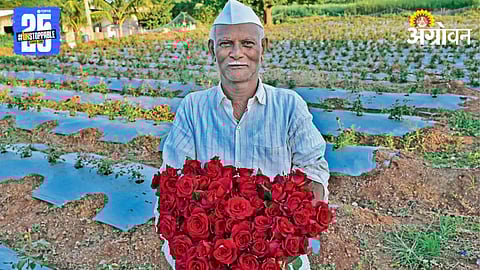 Rose Farming 