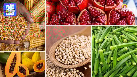 Agriculture Market Products