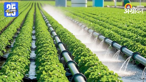 Crop Irrigation 